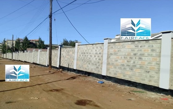 WhatsApp Image 2025-09-24 at 00.16.08_10205ccf